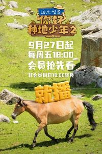 ��ã��ֵ�����2