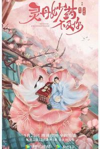 �鵤��ҩ������