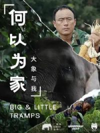 ����Ϊ�ң���������