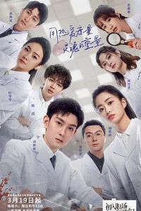 ����ְ�������ǡ���ҽ��