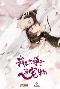 ���ڴ����µ�����