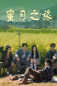 ����֮��