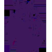 Ӣ������ Ŧ��˹����VS������20260228