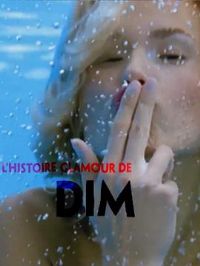 DIM˿��Ĺ������