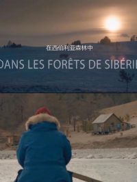 ��������֮ɭ��Ӱ�ӽ�˵��